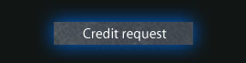 Online credit request